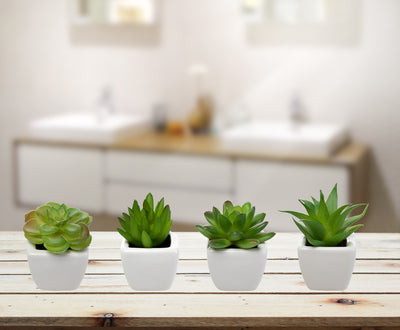 8 Fake Succulent Plants, Small Artificial in White Ceramic Pots