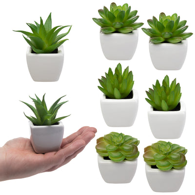 8 Fake Succulent Plants, Small Artificial in White Ceramic Pots